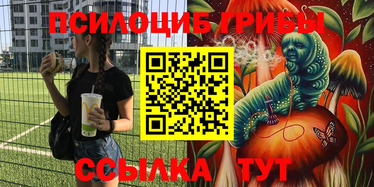Псилоцибиновые грибы Cubensis  Вход с VPN  Псилоцибиновые грибы прущие грибы  Дятьково 